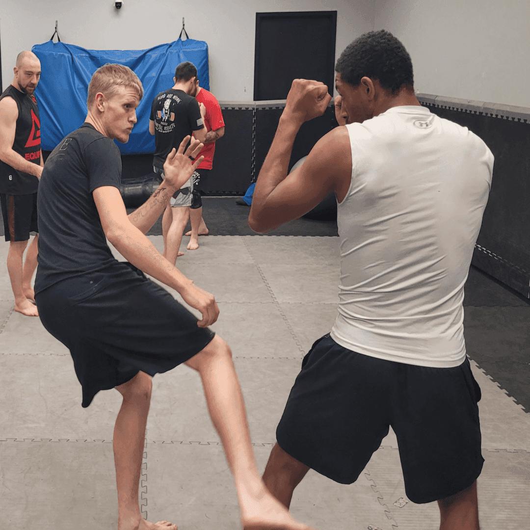 Steiner Academy Of Martial Arts photo 2