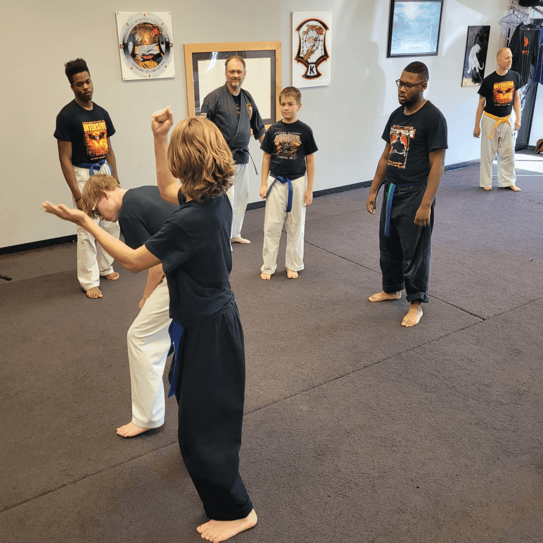 Steiner Academy Of Martial Arts photo 3