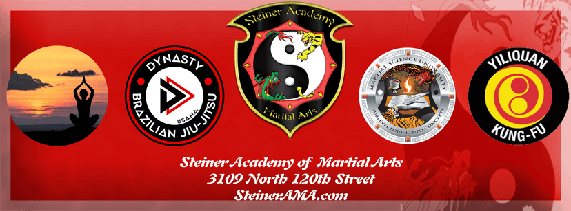 Steiner Academy Of Martial Arts