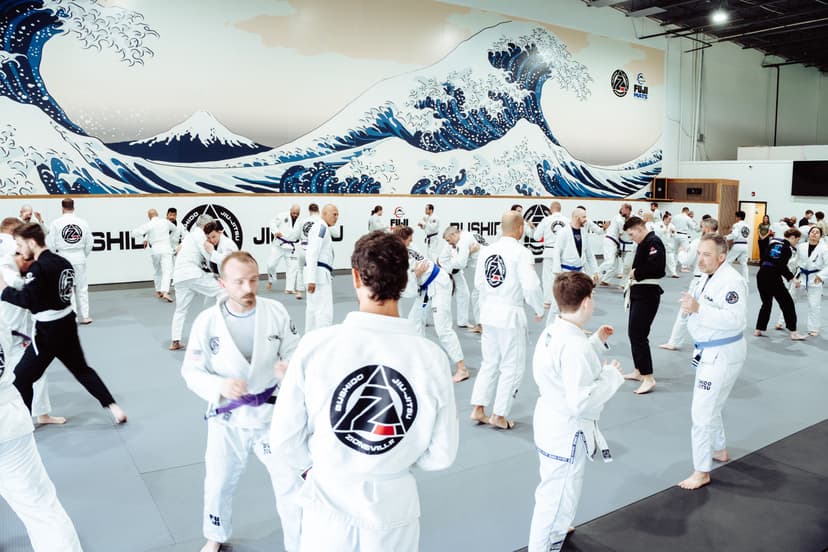Bushido Jiu-Jitsu Zionsville
