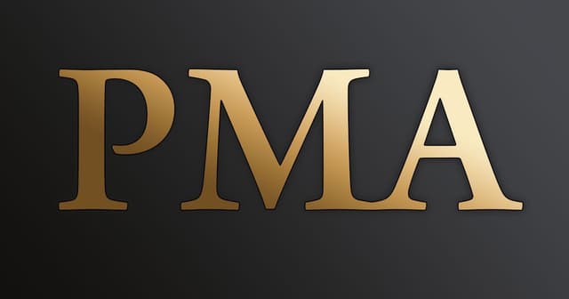 Professional Martial Arts