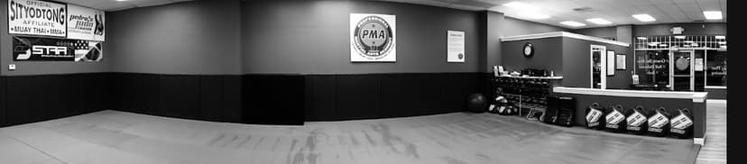 Professional Martial Arts Academy